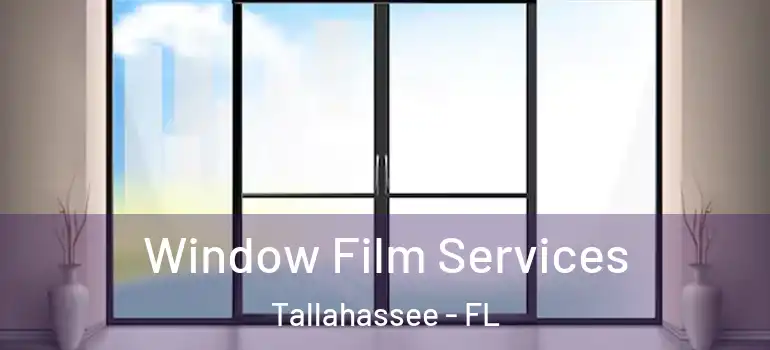  Window Film Services Tallahassee - FL