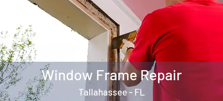 Window Frame Repair Tallahassee - FL
