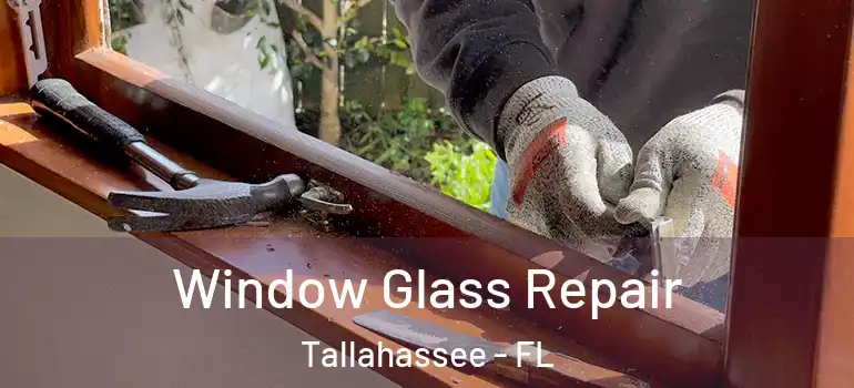 Window Glass Repair Tallahassee - FL