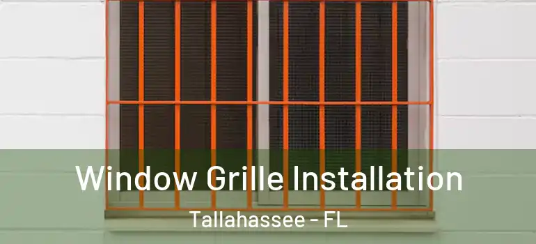 Window Grille Installation Tallahassee - FL