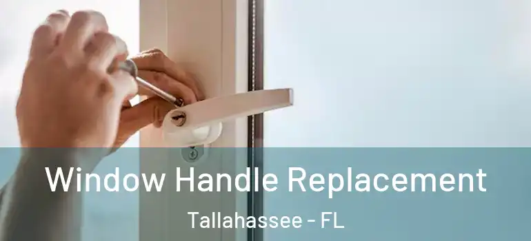 Window Handle Replacement Tallahassee - FL