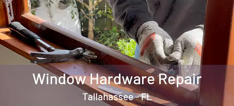 Window Hardware Repair Tallahassee - FL