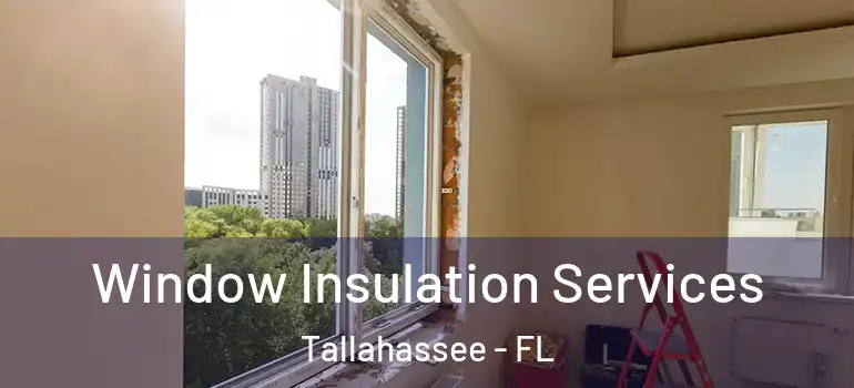 Window Insulation Services Tallahassee - FL