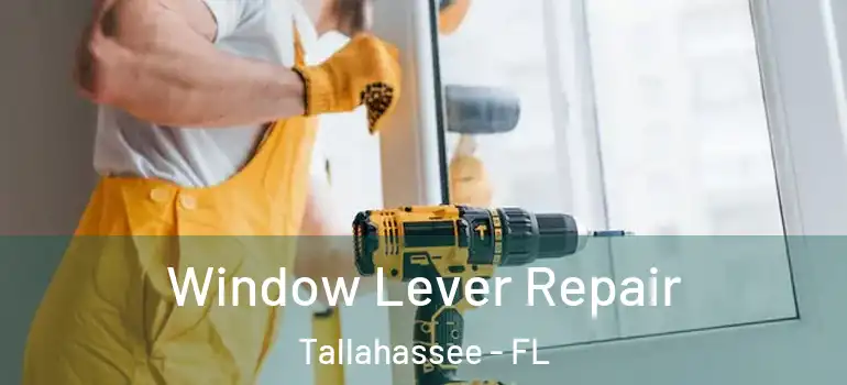  Window Lever Repair Tallahassee - FL