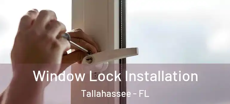 Window Lock Installation Tallahassee - FL