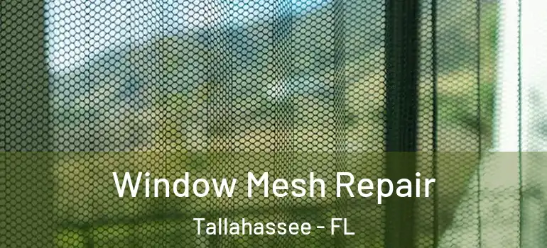 Window Mesh Repair Tallahassee - FL
