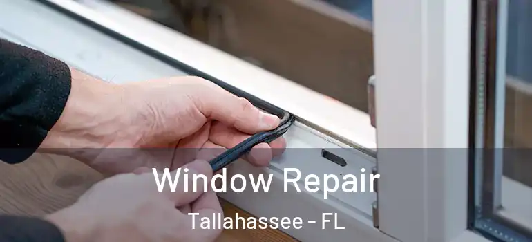  Window Repair Tallahassee - FL