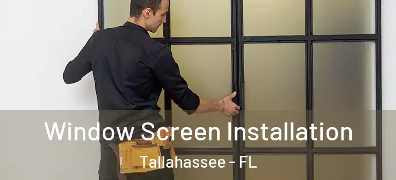 Window Screen Installation Tallahassee - FL