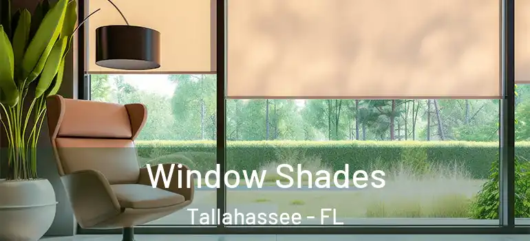 Window Shades Tallahassee - FL