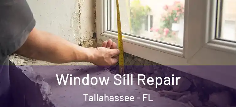  Window Sill Repair Tallahassee - FL