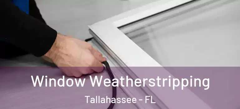 Window Weatherstripping Tallahassee - FL