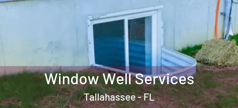 Window Well Services Tallahassee - FL