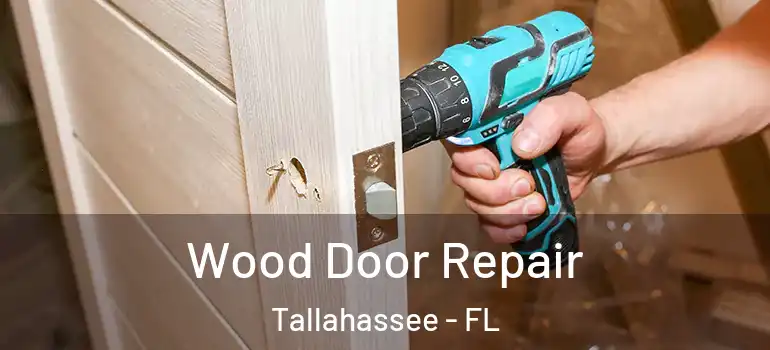 Wood Door Repair Tallahassee - FL